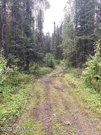 40 Acres of Land for Sale in Wasilla, Alaska