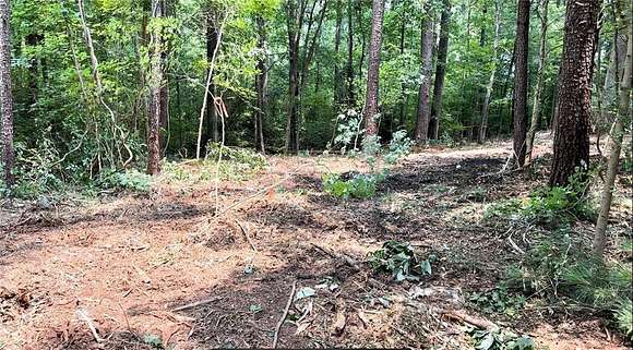 0.46 Acres of Residential Land for Sale in Stonecrest, Georgia