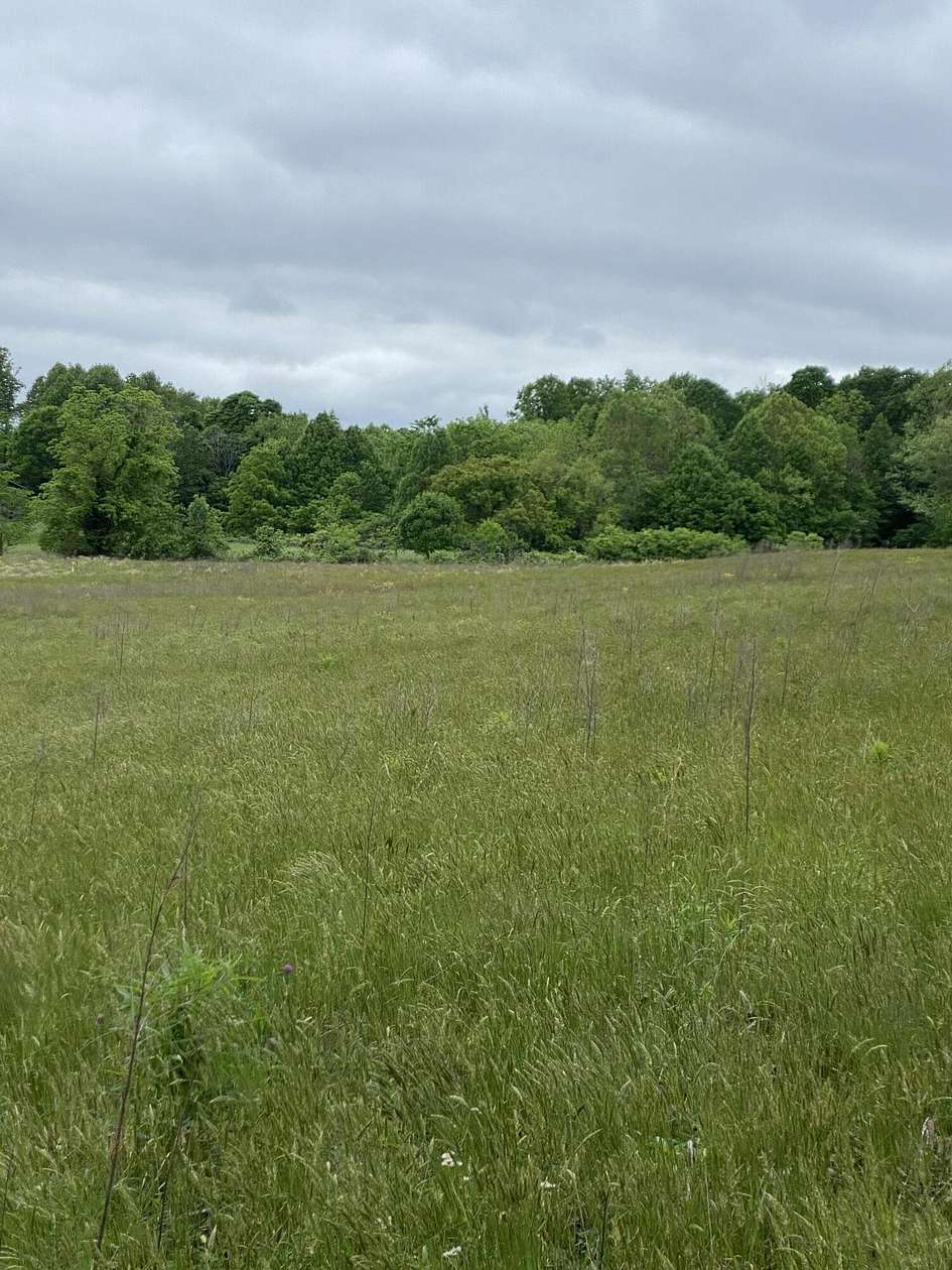 9.3 Acres of Land for Sale in Kings Mountain, Kentucky