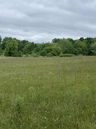 9.3 Acres of Land for Sale in Kings Mountain, Kentucky