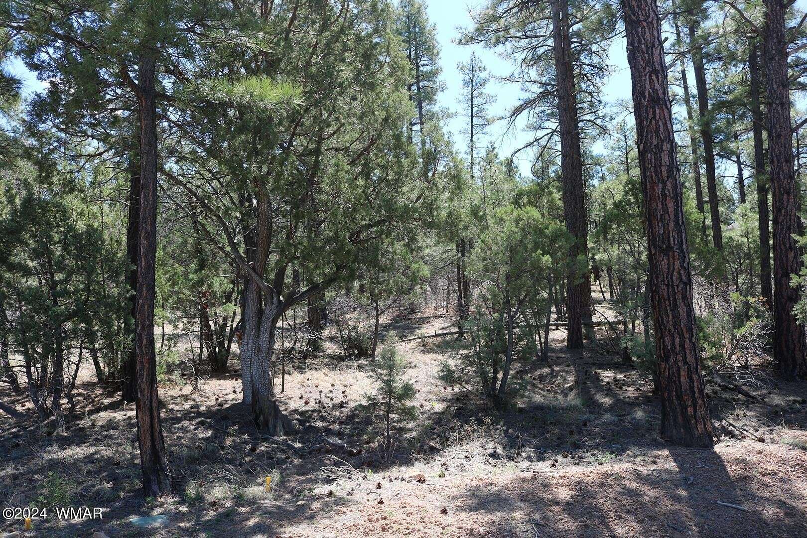 0.44 Acres of Residential Land for Sale in Show Low, Arizona