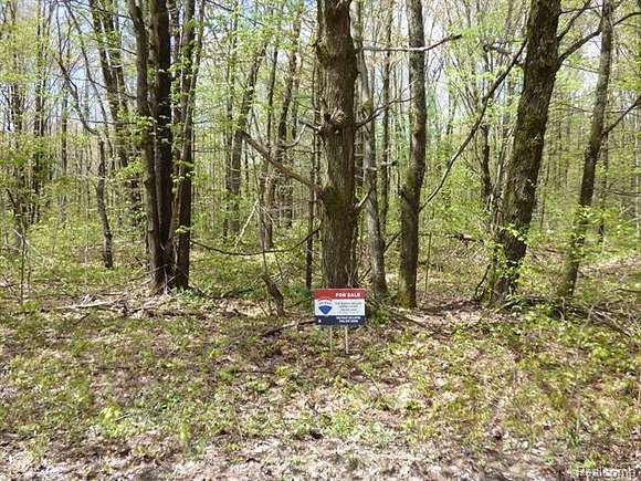 0.43 Acres of Residential Land for Sale in Elmira, Michigan