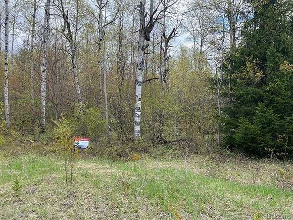 0.35 Acres of Residential Land for Sale in Elmira, Michigan