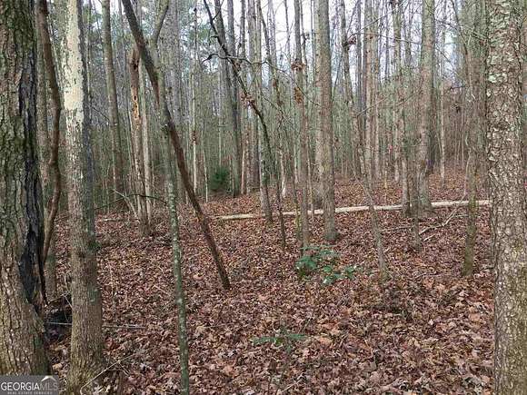 6 Acres of Residential Land for Sale in McDonough, Georgia