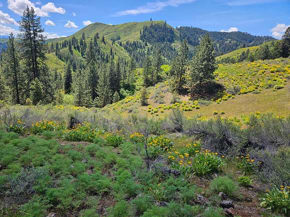 630 Acres of Recreational Land for Sale in Halfway, Oregon