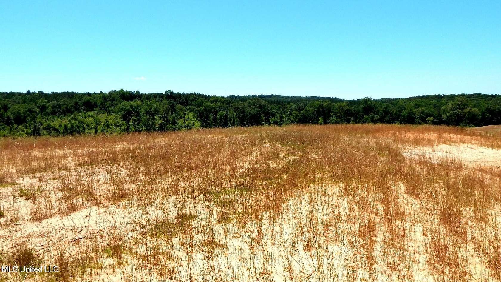 13.4 Acres of Recreational Land for Sale in Grenada, Mississippi