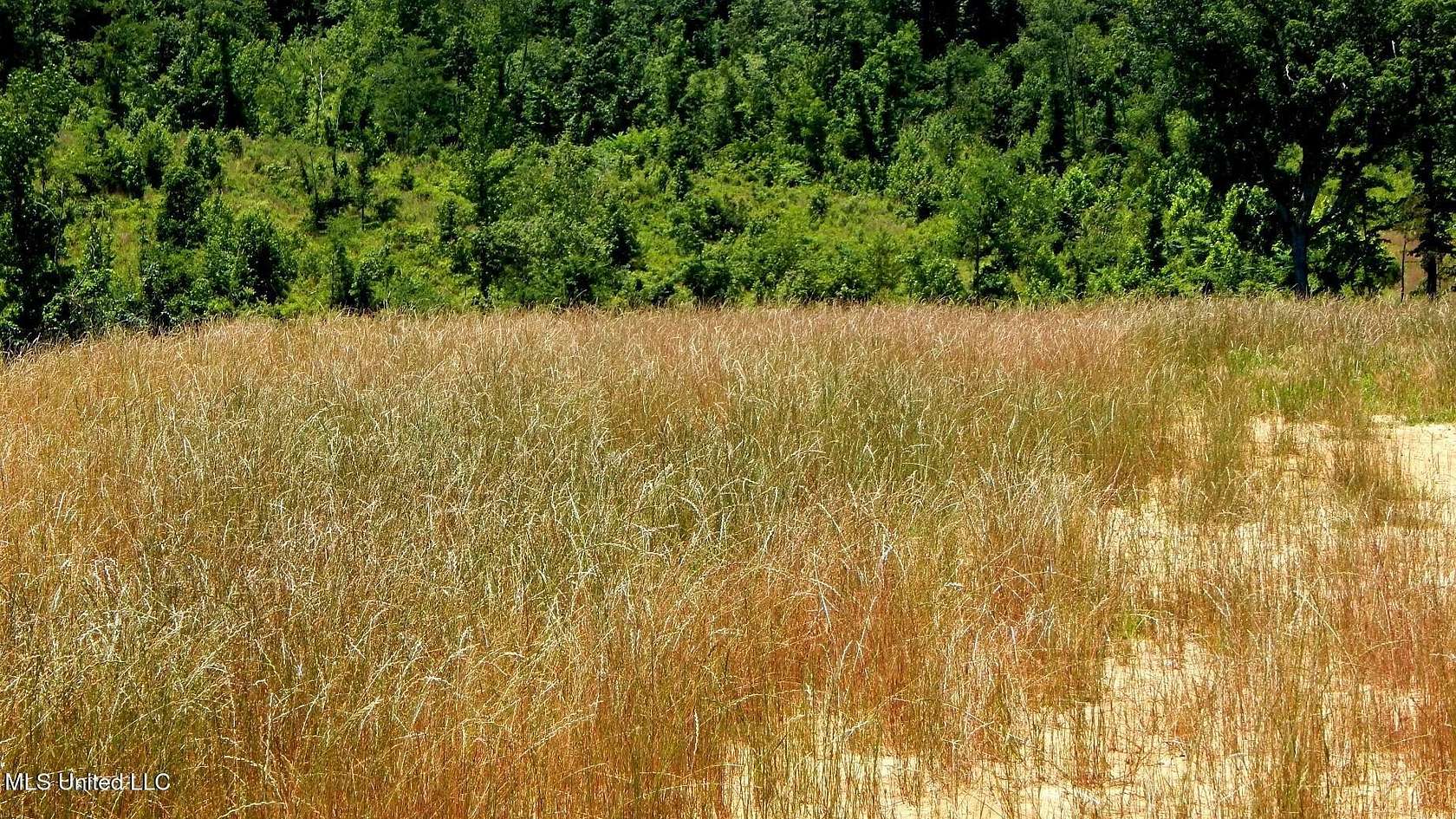 9 Acres of Residential Land for Sale in Grenada, Mississippi