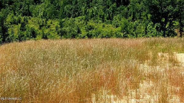 9 Acres of Residential Land for Sale in Grenada, Mississippi