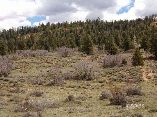 40 Acres of Recreational Land & Farm for Sale in Alton, Utah