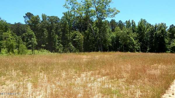 5.26 Acres of Residential Land for Sale in Grenada, Mississippi