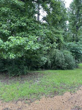 1 Acre of Land for Sale in Gladewater, Texas