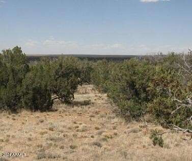 40 Acres of Recreational Land for Sale in Heber, Arizona