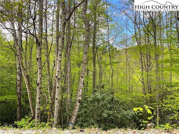 0.44 Acres of Land for Sale in Beech Mountain, North Carolina