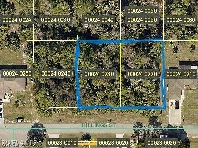 0.46 Acres of Residential Land for Sale in Lehigh Acres, Florida