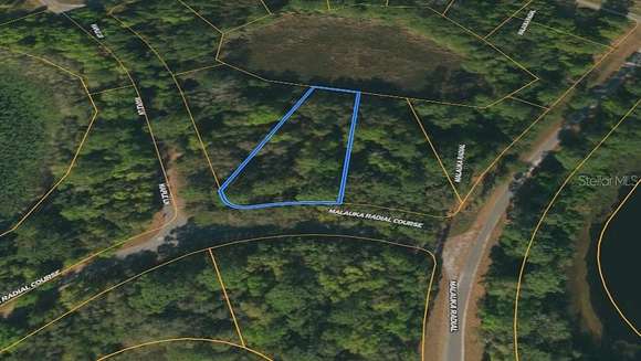 0.5 Acres of Residential Land for Sale in Ocklawaha, Florida