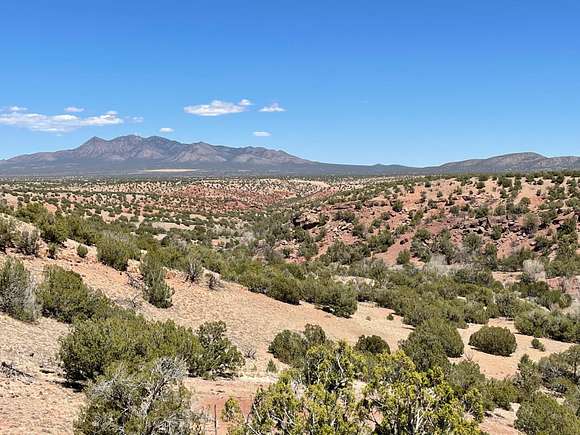 10 Acres of Land for Sale in Sandia Park, New Mexico