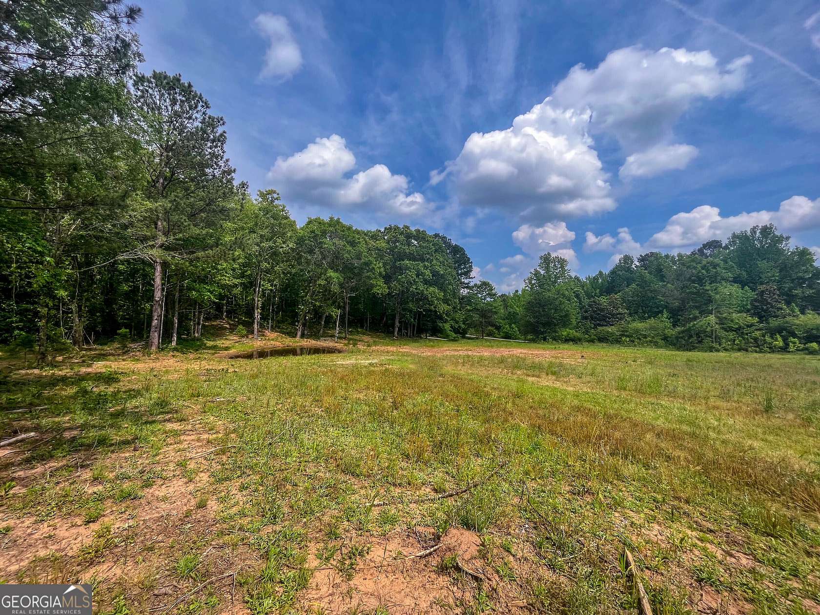 9.99 Acres of Residential Land for Sale in Brooks, Georgia