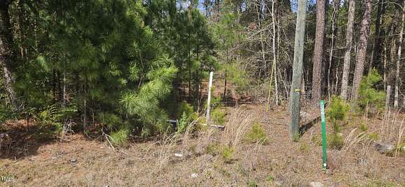 0.39 Acres of Land for Auction in Stedman, North Carolina