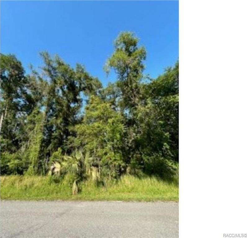 0.31 Acres of Residential Land for Sale in Inverness, Florida