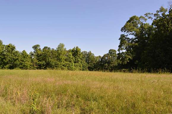 23 Acres of Agricultural Land for Sale in Wynne, Arkansas