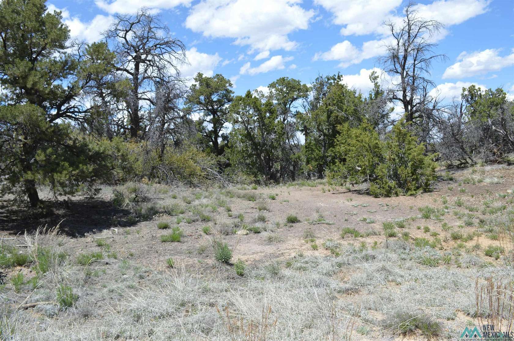 3.62 Acres of Residential Land for Sale in Tinaja, New Mexico