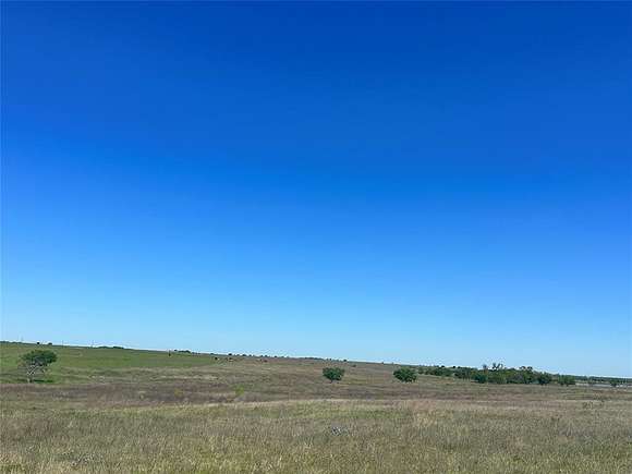 10.589 Acres of Recreational Land for Sale in Penelope, Texas