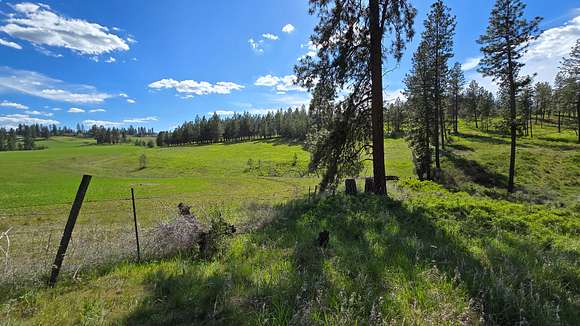 53 Acres of Land for Sale in Spangle, Washington