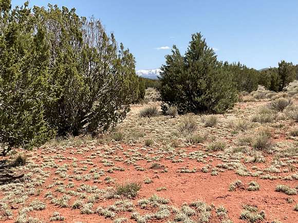 1 Acre of Land for Sale in Valle, Arizona