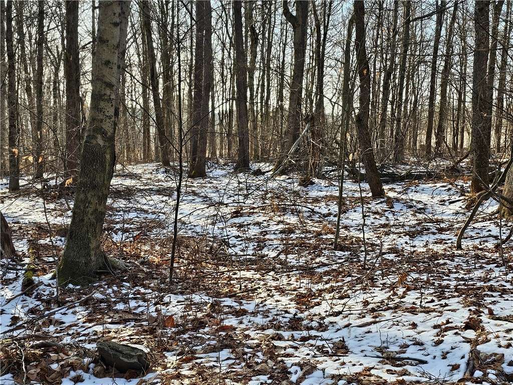 16.6 Acres of Recreational Land for Sale in Butternuts Town, New York