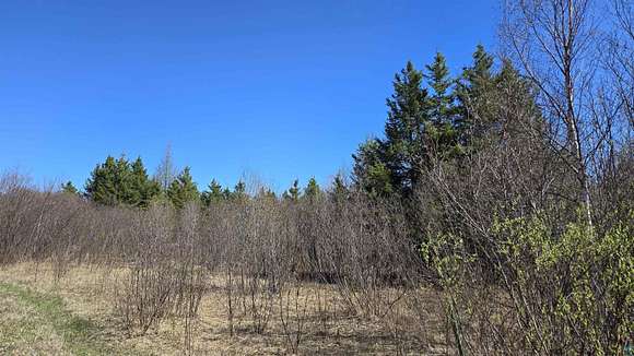 34.7 Acres of Recreational Land for Sale in Orr, Minnesota