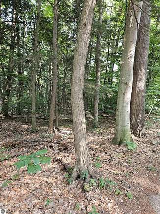 2.26 Acres of Residential Land for Sale in Traverse City, Michigan