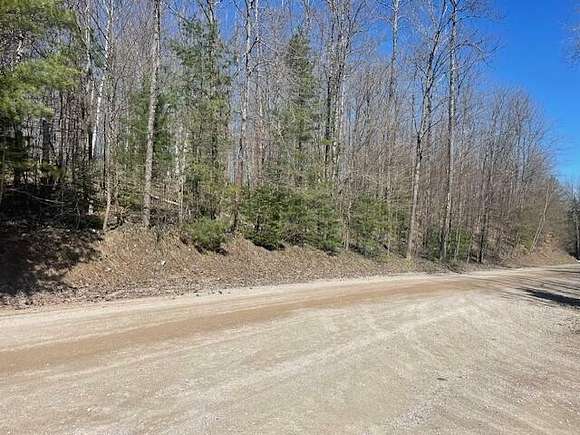 21 Acres of Recreational Land for Sale in Wolverine, Michigan