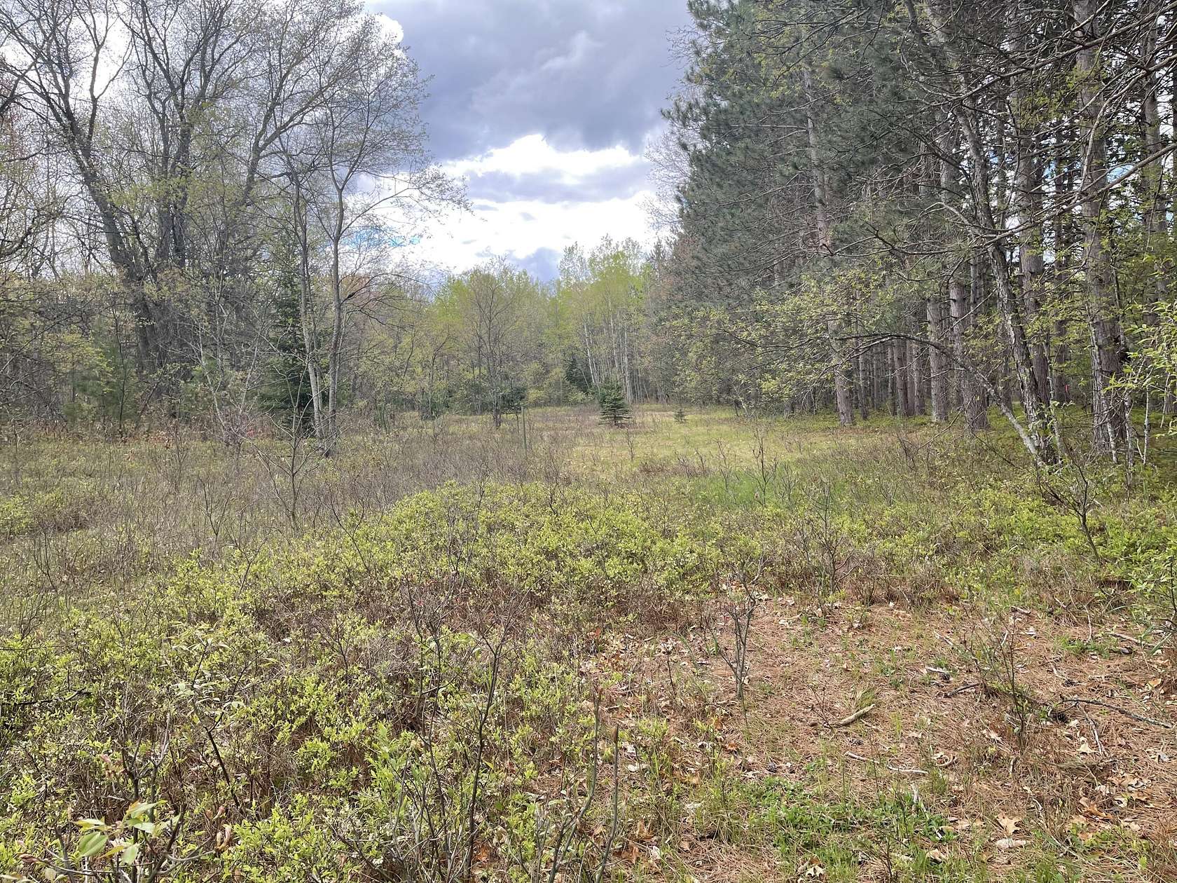 2.6 Acres of Residential Land for Sale in Houghton Lake, Michigan