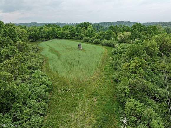 92.4 Acres of Recreational Land for Sale in Caldwell, Ohio