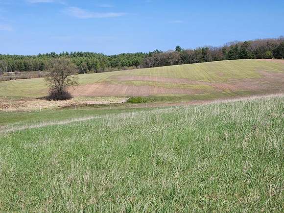 83.5 Acres of Recreational Land & Farm for Sale in Westfield, Wisconsin