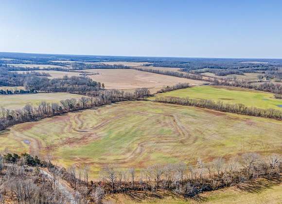 131.6 Acres of Agricultural Land for Sale in Brownsville, Tennessee