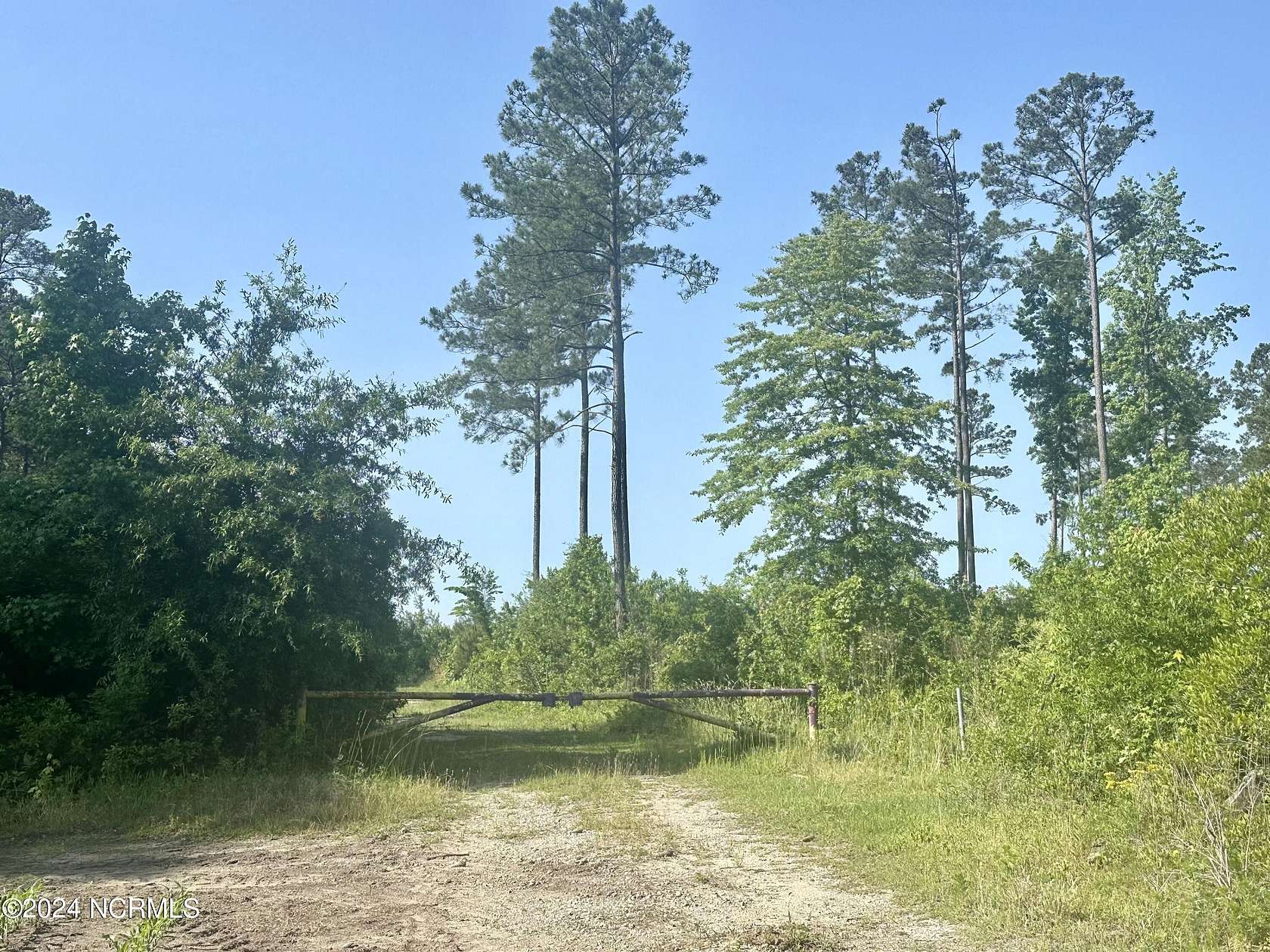 165.88 Acres of Recreational Land for Sale in Vanceboro, North Carolina