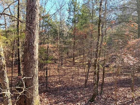 10.4 Acres of Land for Sale in Bee Branch, Arkansas