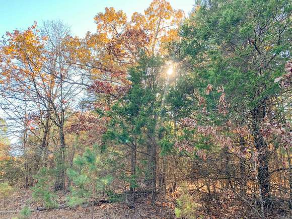 15 Acres of Land for Sale in Bee Branch, Arkansas