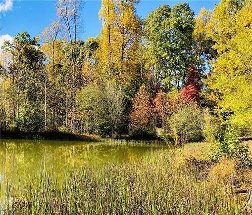 1.4 Acres of Residential Land for Sale in Cleveland, Georgia
