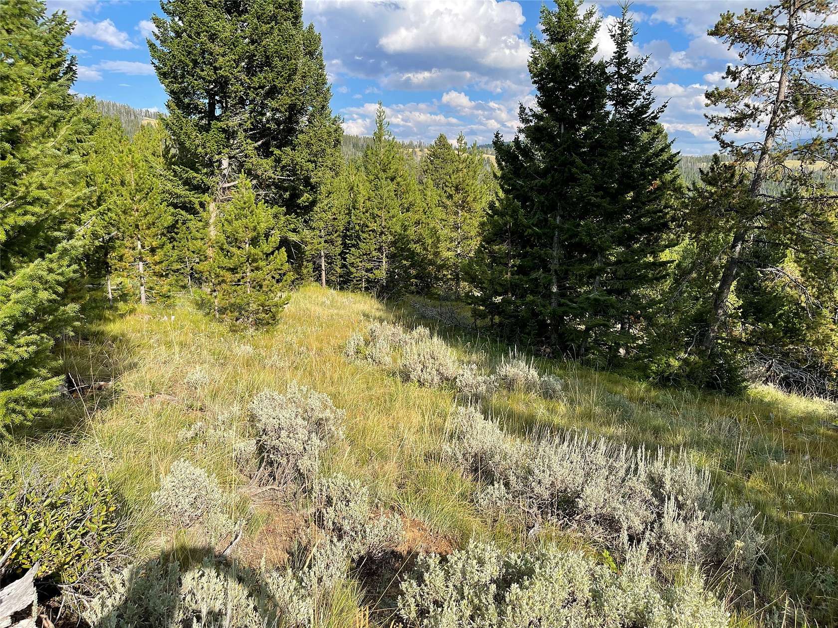 5.2 Acres of Residential Land for Sale in Anaconda, Montana