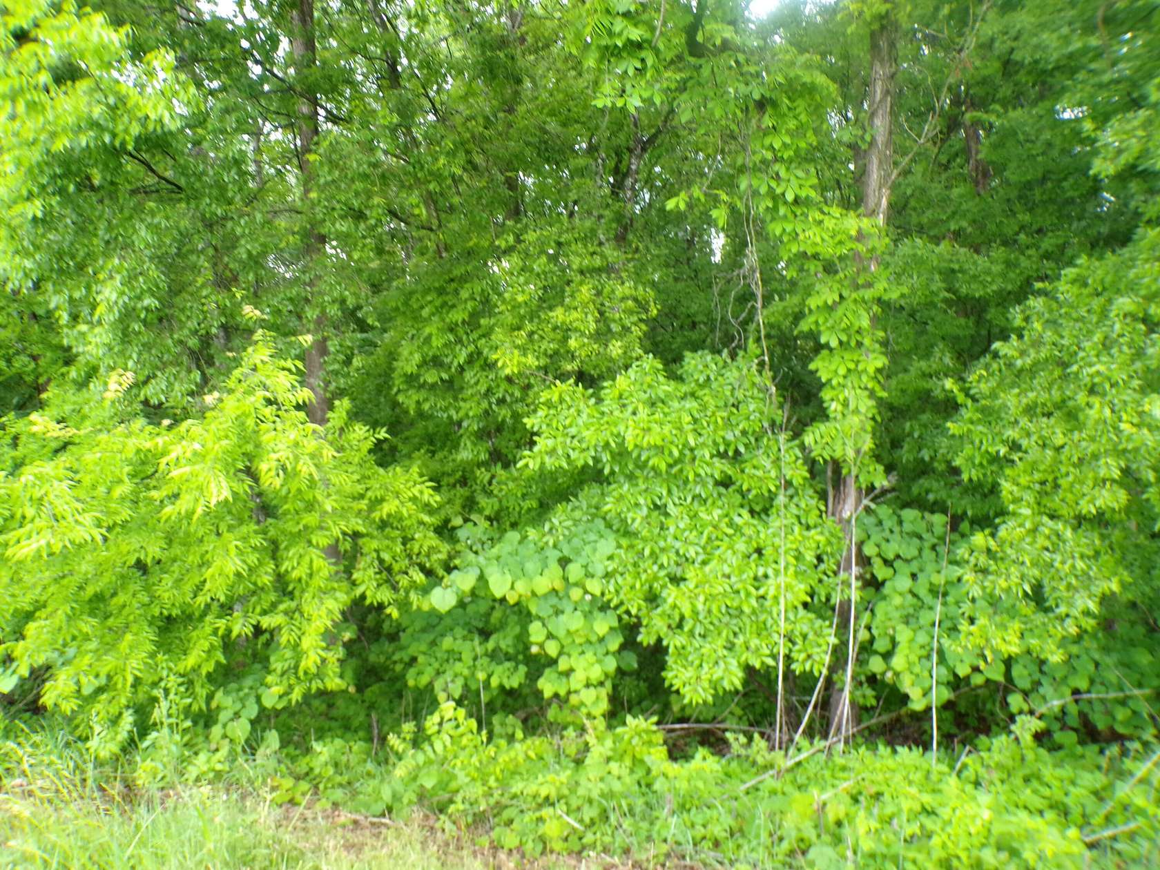 0.79 Acres of Residential Land for Sale in Dayton, Tennessee