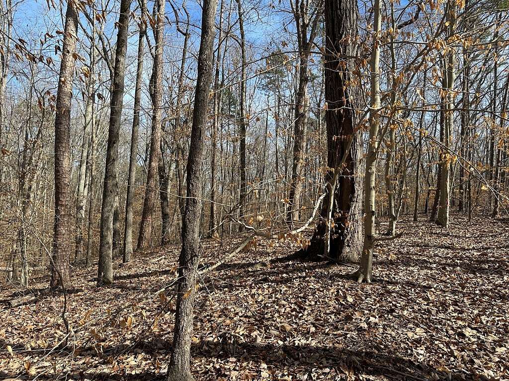1.1 Acres of Land for Sale in Clarksville, Virginia