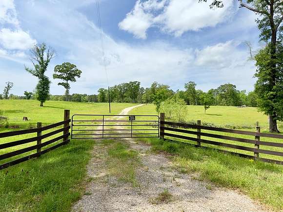 52.9 Acres of Agricultural Land for Sale in Alto, Texas