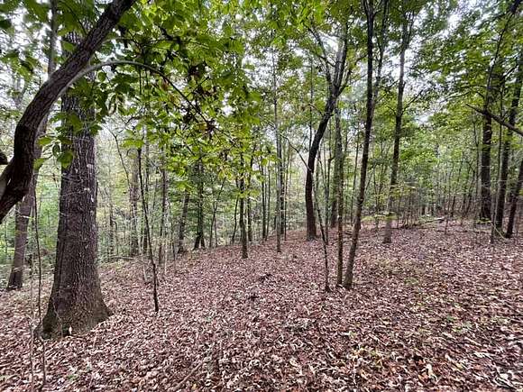 50 Acres of Recreational Land for Sale in Randolph, Alabama