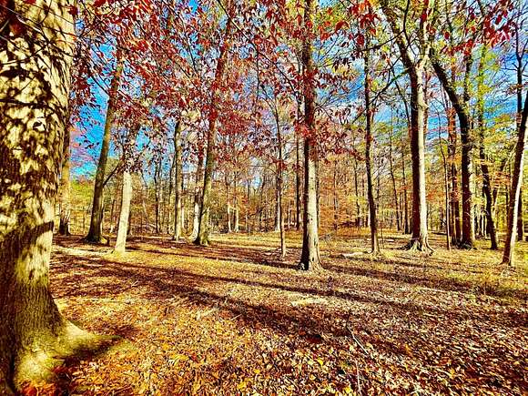 45 Acres of Recreational Land for Sale in Randolph, Alabama