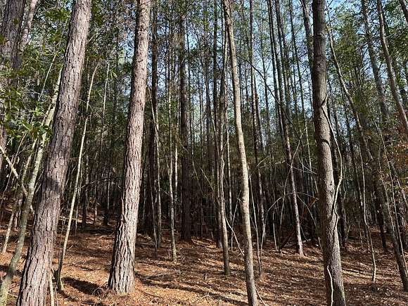 520 Acres of Recreational Land for Sale in Centreville, Alabama