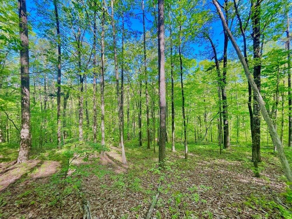 22.3 Acres of Land for Sale in Chelsea, Alabama