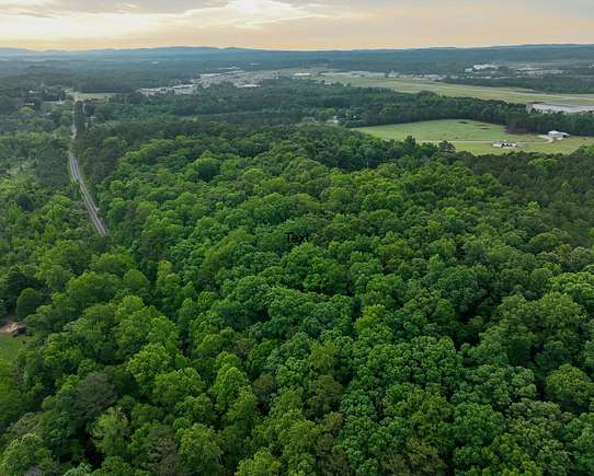 24 Acres of Agricultural Land for Sale in Sylacauga, Alabama