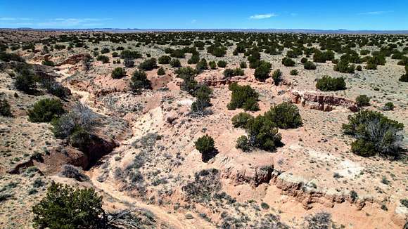 40 Acres of Recreational Land for Sale in Chambers, Arizona